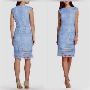 Tahari by Arthur Levine Lace Dress : Midi : Light Blue Sheath : Size 14